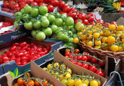 tomatoes-at-markets
